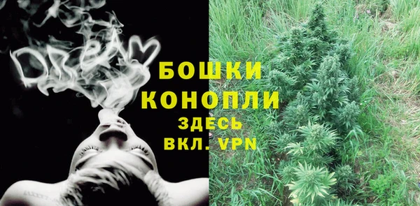 прущий лед Белокуриха