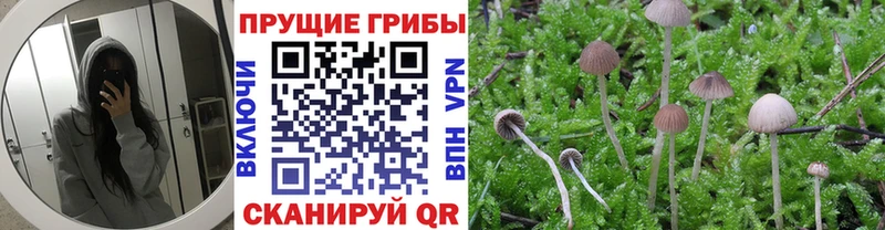 Галлюциногенные грибы MAGIC MUSHROOMS  mega ONION  маркетплейс формула  Устюжна 